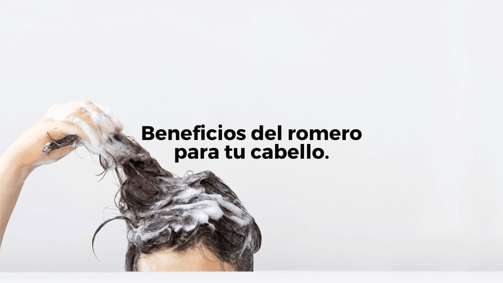 Beneficios del romero para tu cabello - Jens