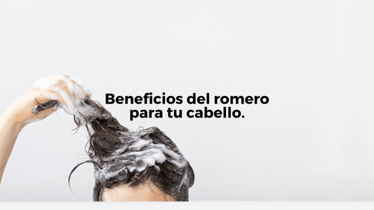 Beneficios del romero para tu cabello - Jens